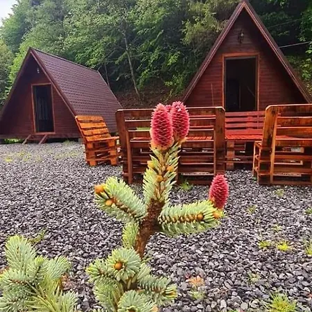 Chalet Moara De Padure Cluj-Napoca