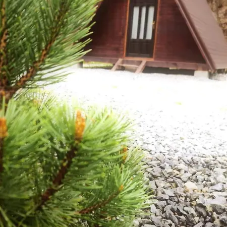 Moara De Padure * Kaloşvar