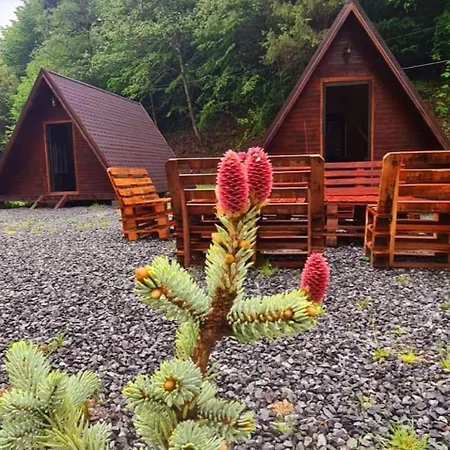 Moara De Padure Chalet