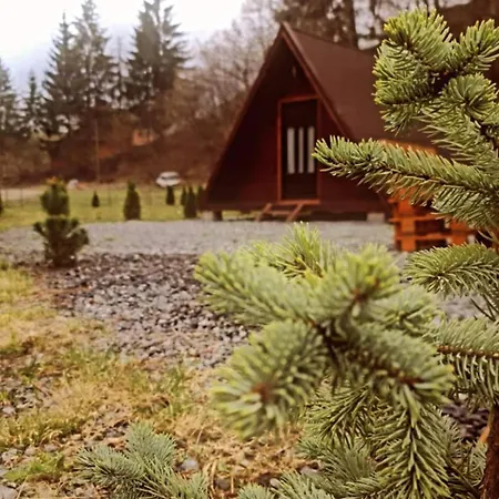 Moara De Padure * Kaloşvar