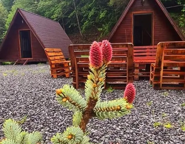 Шале Moara De Padure Клуж-Напока