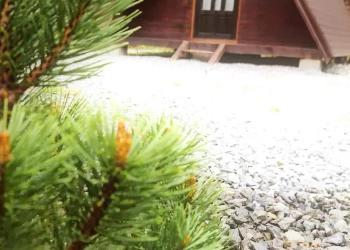 Moara De Padure * Cluj-Napoca