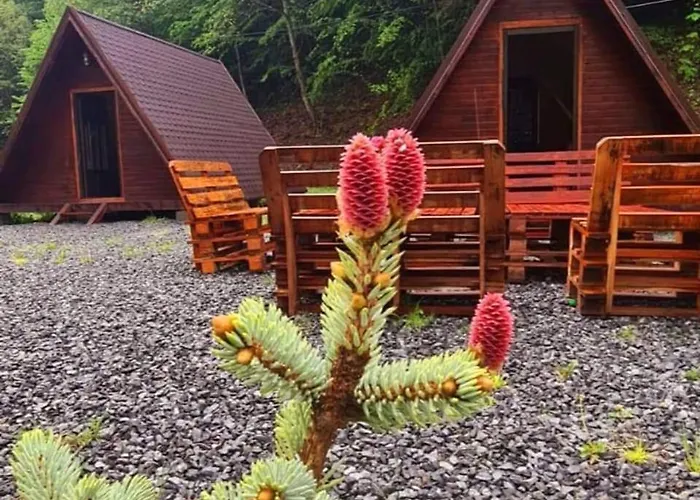 Moara De Padure Chalé