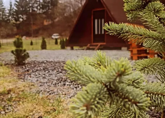 Moara De Padure * Cluj-Napoca